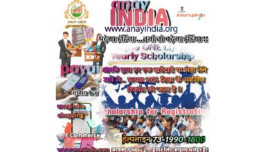 Anay India, Anay India Foundation