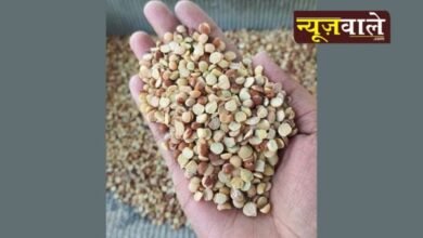 Desi Arhar Dal made with traditional method: Taste and quality guaranteed